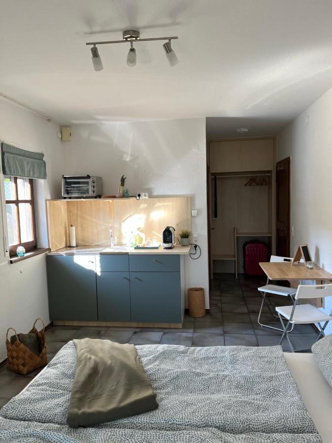 1 Zimmer Whg Waldfischbach Экстерьер фото
